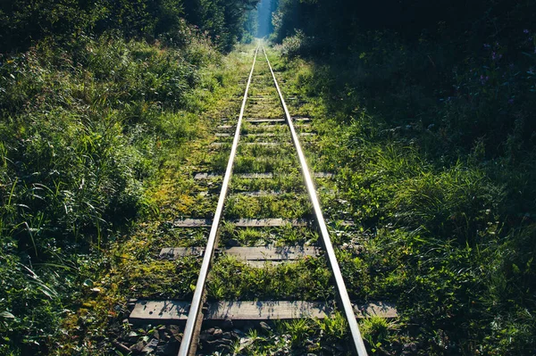 Endless Railway Forest Road Nowhere Symbolic Landscape Long Straight Rail — Stock Photo, Image