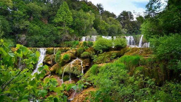 Doğadaki şelale Krka Ulusal Parkı 'nı kazandı. Nehirli yeşil orman. Hırvatça 'da Plivice Gölü Yakınları