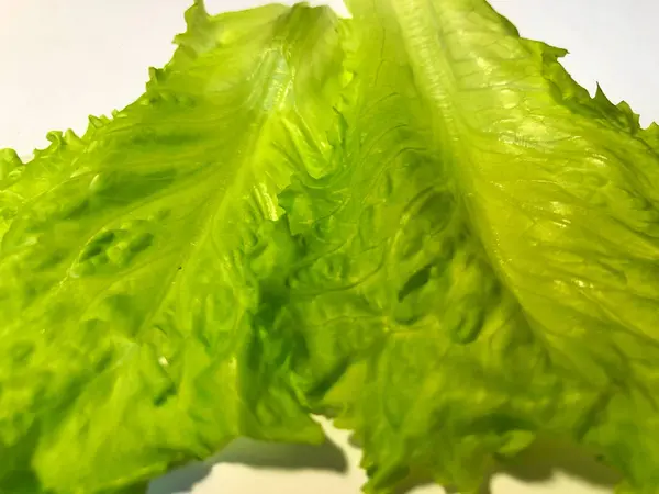 Feuille de salade isolée sur blanc, chemin de coupe inclus — Photo