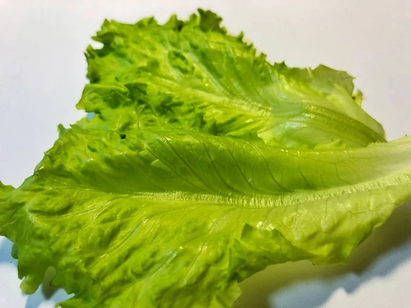 Salade blad geïsoleerd op wit, uitknippad opgenomen — Stockfoto
