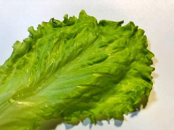 Kırpma yolu dahil beyaz izole salata yaprağı — Stok fotoğraf