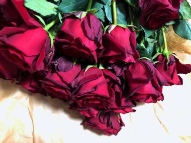 Kırmızı gülleri ve su damlalarını kapatın.