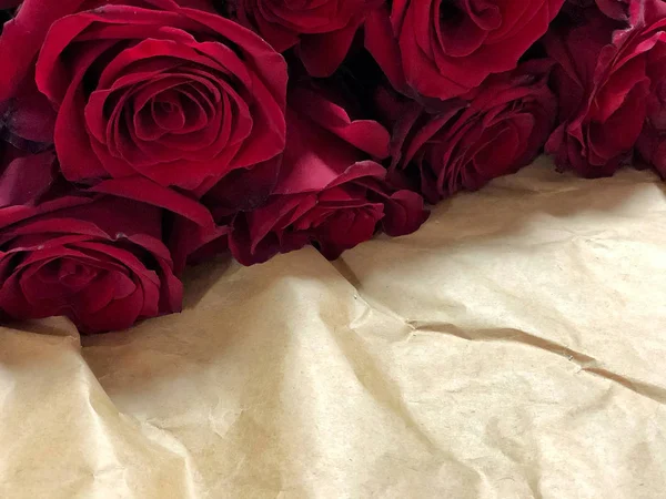 Крупним планом червоні троянди і краплі води — стокове фото