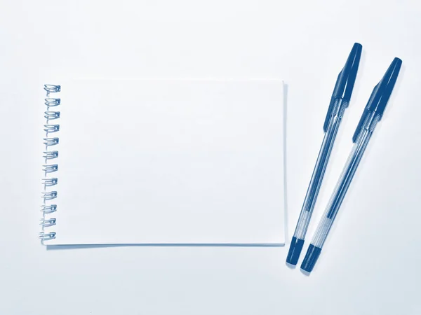 Geopend notitieboek papier met pen. Pantone blauw, Classic blauw, Phantom blauw — Stockfoto