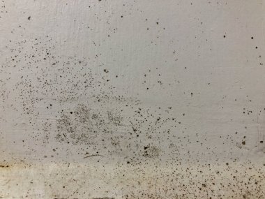 Banyoda siyah küflü beyaz duvar..