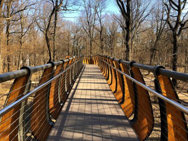 Bahar ormanının tepesinde hava eko-patikası