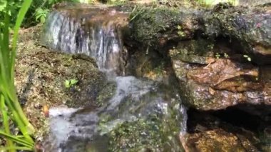 Şelale, ağaçlardan ve kayalardan yapılmış bir baraja çarpıyor.