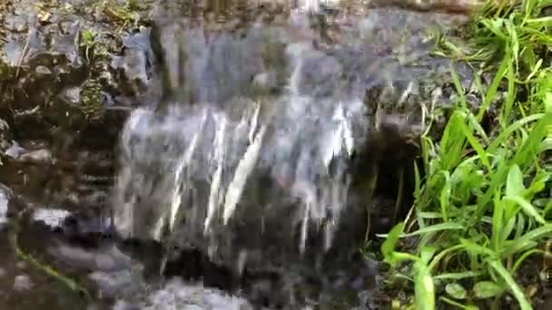 Vodopád přes přehradu z lesů a skal — Stock video
