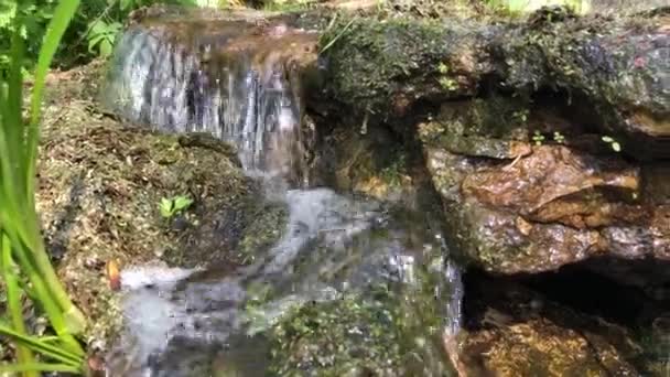 森と岩で作られたダムを通って滝 — ストック動画