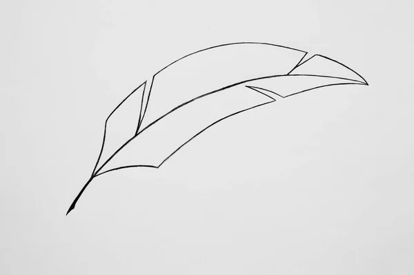 Black Feather Klasyczna Faktura Eleganckim Szkicem Ręcznie Malowane Pióra — Zdjęcie stockowe