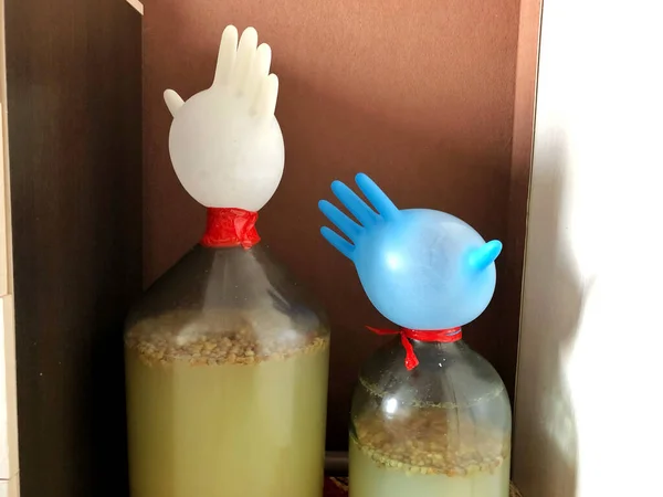 Dispositif Fermentation Sucre Aux Fins Production Alcool — Photo