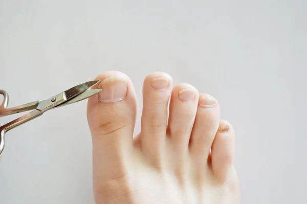 Female Feet Legs Nail Clippers Hands Beauty Pedicure White Background — Stock Photo, Image