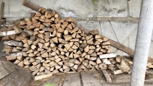 把木柴堆在谷仓里.用木柴做的。准备过冬. — 图库视频影像