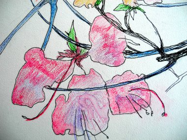 Hizmetçi kalem çizimi pembe çiçekler