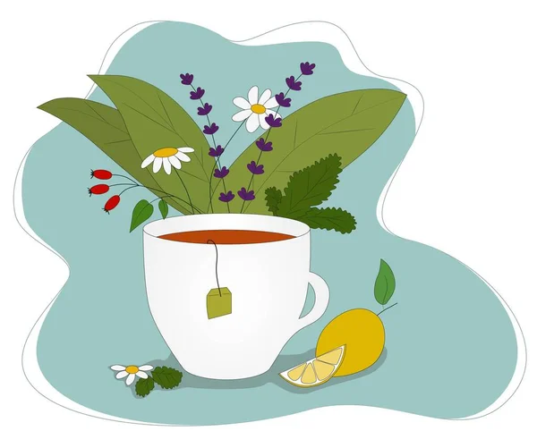 Белая Чашка Чая Вокруг Различных Цветов Трав Можно Использовать Баннере — стоковый вектор