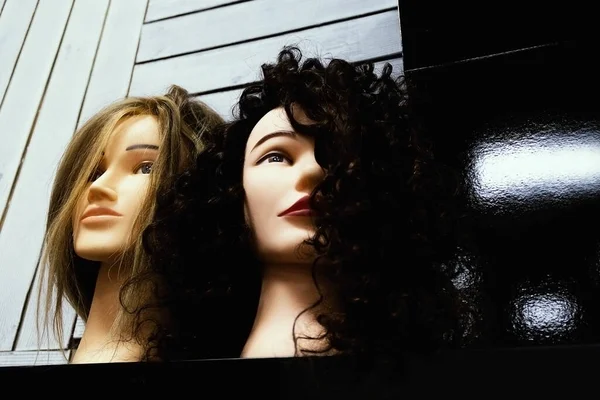Two heads of girls dummy with wavy hairstyles of light and dark color. Fashion and beauty. A haircut