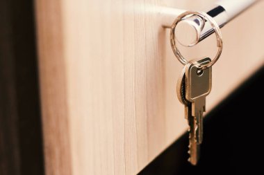 Daire kapısının iki metal anahtarı odanın girişindeki kancaya asılı. Değerli eşyaların korunması ve korunması