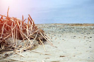 Kumsalda, deniz ya da okyanus kıyısında kumsalda. Yaz aylarında adalara seyahat, turizm ve dinlenme