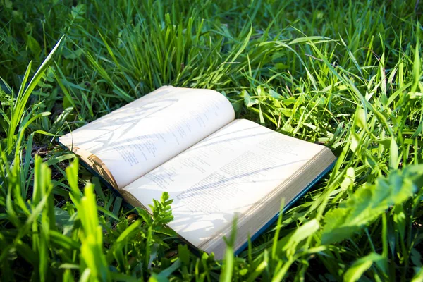 Büyük eski kitabı açık yatıyor