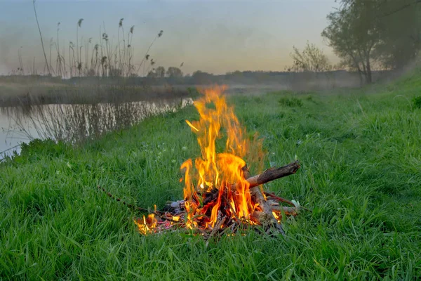 large bonfire made of branches