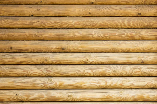 duvar kuru sarı günlükleri