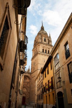 Salamanca 'daki Eski Katedral' in heybetli kulesi (İspanya) ve güneşli bir günde feodal evler