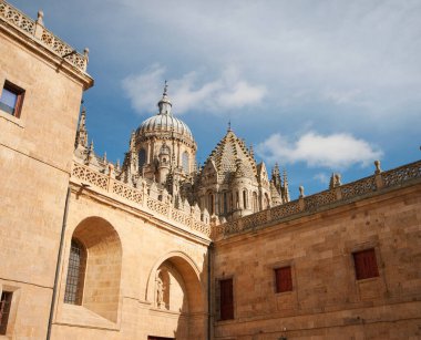 Salamanca Katedrali 'nin bir detayı, Salamanca' da güneşli, güneş batıyor.