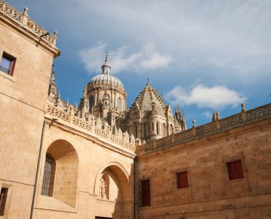 A detail of the Salamanca Cathedral faade, sunny da in Salamanca, sun is falling clipart