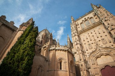 Güneşli bir günde Salamaca 'nın (İspanya) gotik tarzında, Yeni Katedral' in daha ikonik binalarından oluşan küresel bir fotoğraf.
