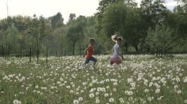 Ağır çekim video: iki çocuk are koşma dandelions alanında günbatımında. Mutlu çocukluk, iyi zaman.