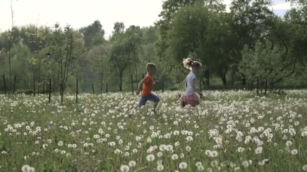 Zeitlupenvideo: Zwei Kinder laufen bei Sonnenuntergang im Löwenzahnfeld herum. glückliche Kindheit, gute Zeit. — Stockvideo