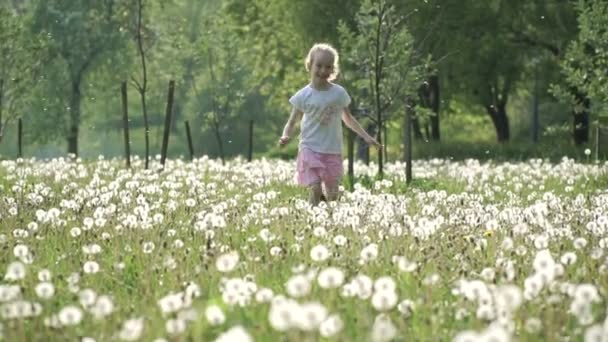 Zeitlupenvideo: kleines Mädchen läuft bei Sonnenuntergang im Löwenzahnfeld herum. glückliche Kindheit, gute Zeit. — Stockvideo