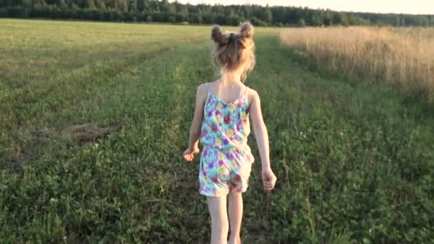 Una ragazzina corre sul campo come un aeroplano. Verso il tramonto. Concetto - energia di gioventù, infanzia felice, sogni. Steadicam shot — Video Stock