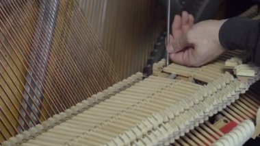 Piyano bir tornavida ile ayarlama. Piyano Tuning atış kapatın