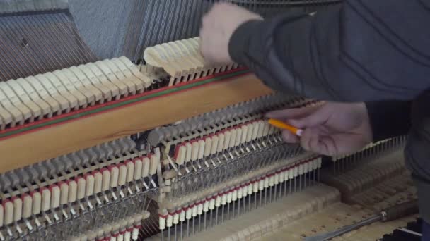 Ρύθμιση πιάνο. Κοντινό πλάνο του Tuning πιάνο — Αρχείο Βίντεο