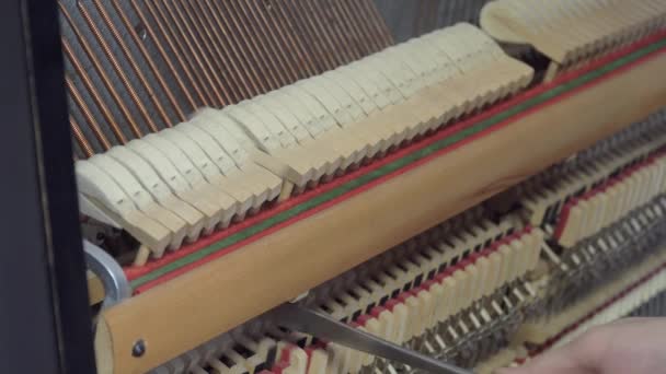 Tuning Piano. Nära upp skott av Tuning Piano — Stockvideo