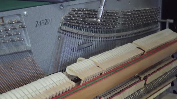 Ladění klavíru. Detailní záběr záběr ladění klavíru — Stock video