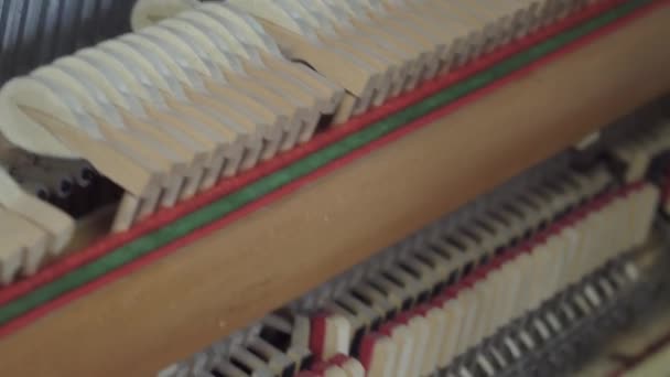 Klavierstimmen. Nahaufnahme eines gestimmten Klaviers — Stockvideo