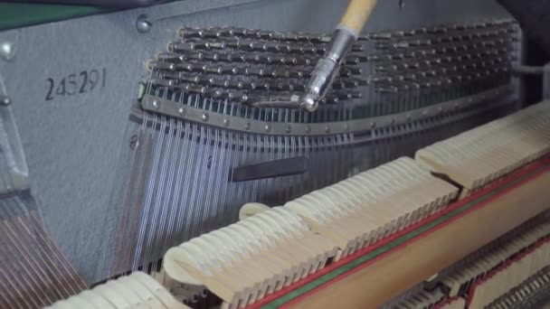 Strojenie fortepianu. Bliska strzał strojenie pianina — Wideo stockowe