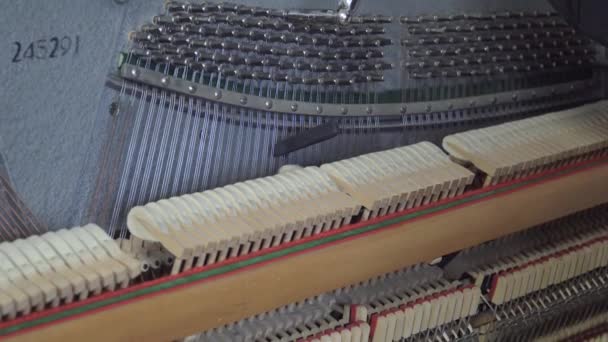 Tuning Piano. Gros plan Prise de vue du piano accordeur — Video