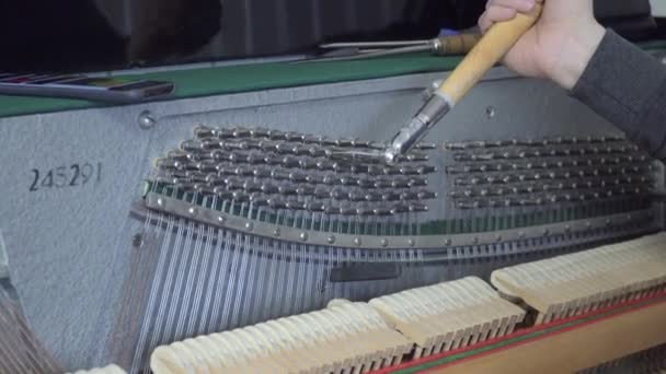 A afinar piano. Fechar Shot of Tuning Piano — Vídeo de Stock