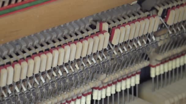 A afinar piano. Fechar Shot of Tuning Piano — Vídeo de Stock