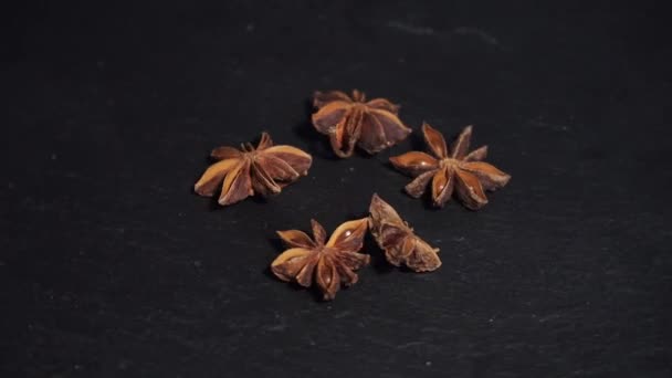 Anise and cinnamon. badian. ingredients for warm wine, mulled wine. circular video — Stock Video