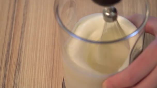 Queijo cremoso sendo misturado em um processador de alimentos e liquidificador — Vídeo de Stock