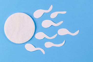 Yumurtanın mavi arka planında sperm acele eder..