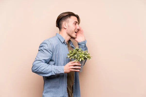 Young Caucasian Man Holding Plant Shouting Holding Palm Opened Mouth — 스톡 사진