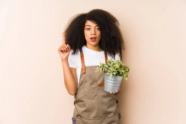 Young Afro Gardener Woman Holding Plant Isolatedhaving Some Great Idea — 图库照片