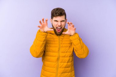 Mor arka planda izole edilmiş genç bir adam pençelerini kedi taklidi yaparken gösteriyor, agresif bir hareket..