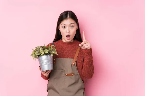 Joven Jardinero Chino Mujer Sosteniendo Una Planta Aislada Teniendo Una —  Fotos de Stock