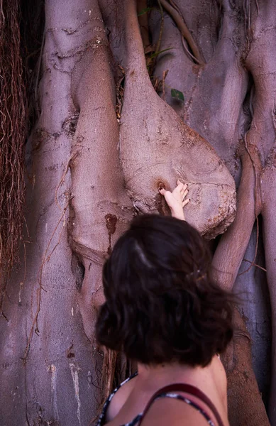 Girl Short Hair Dress Touching Trunk Tall Tree — Stock Photo, Image